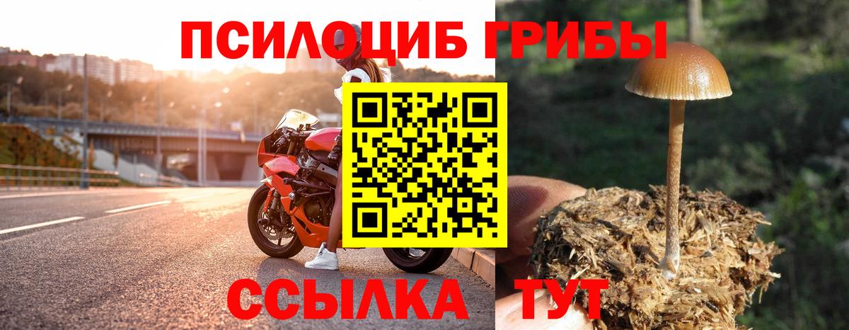 Среднеуральск  Галлюциногенные грибы Magic Shrooms  Псилоцибиновые грибы Cubensis  дарнет шоп  Вход с VPN 
